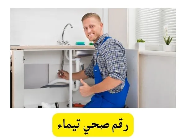 رقم صحي تيماء